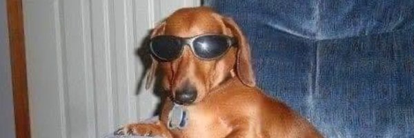 notsixela Profile Banner