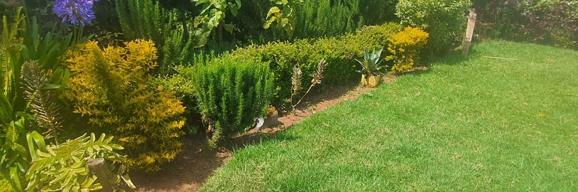 JoyceJ_keter's profile banner image
