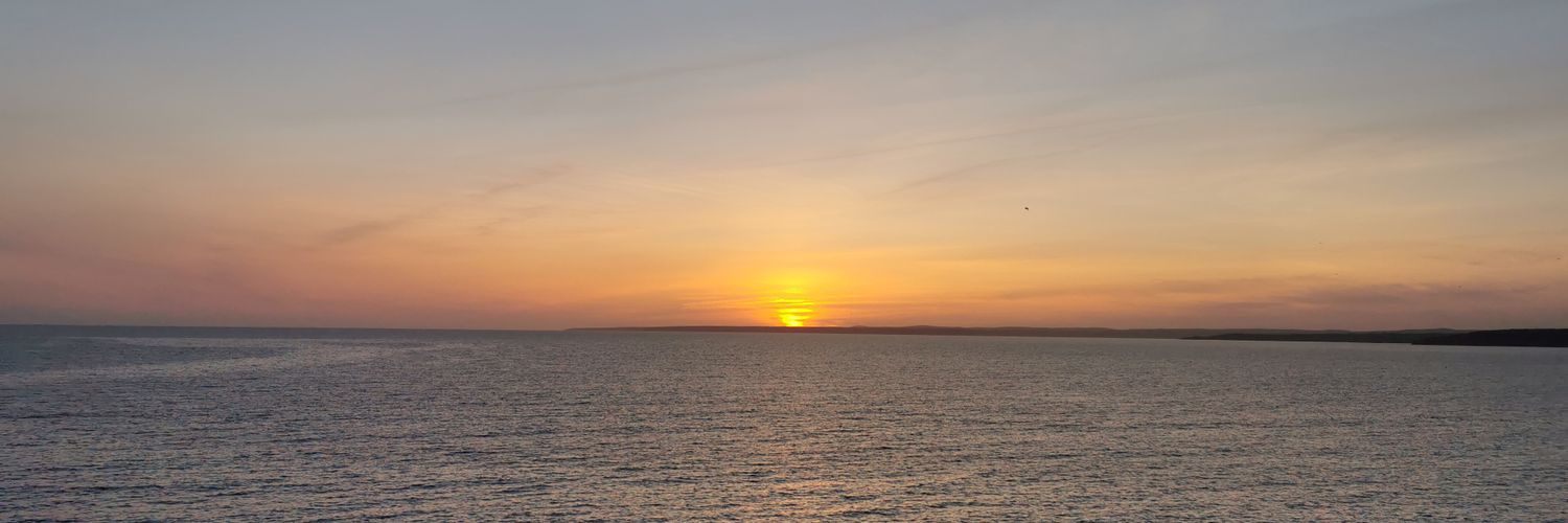 David Harrigan banner