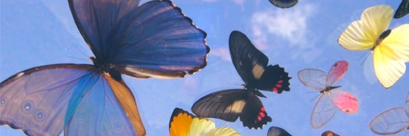 ClaudiaTalamas's profile banner image