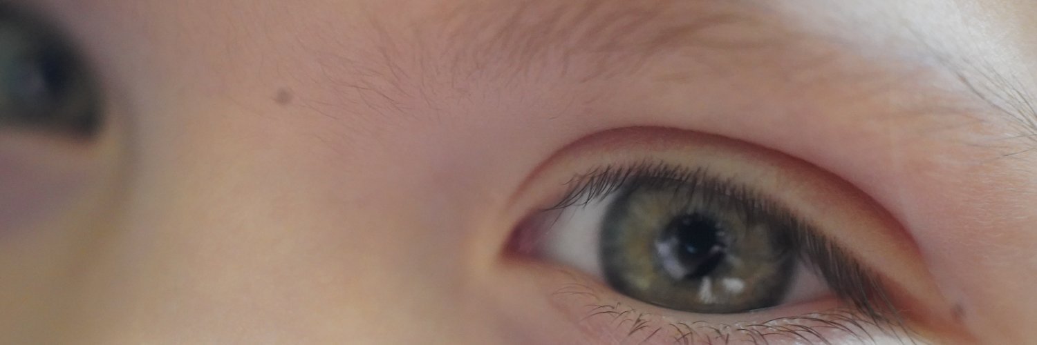 lkrotsch's profile banner image