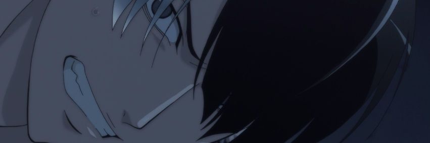 :): banner