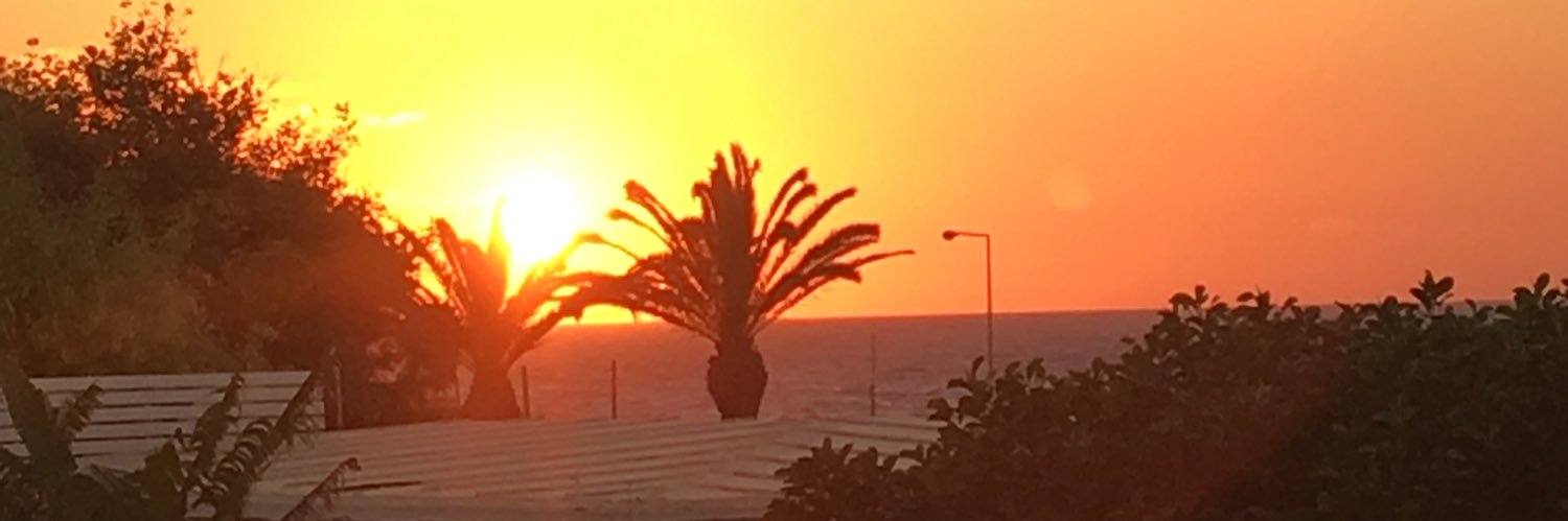 treesla's profile banner image