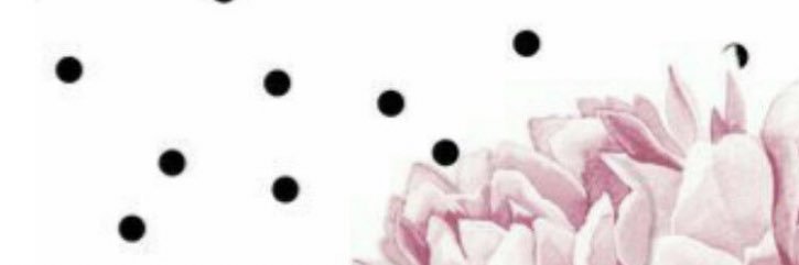 aRocio19's profile banner image