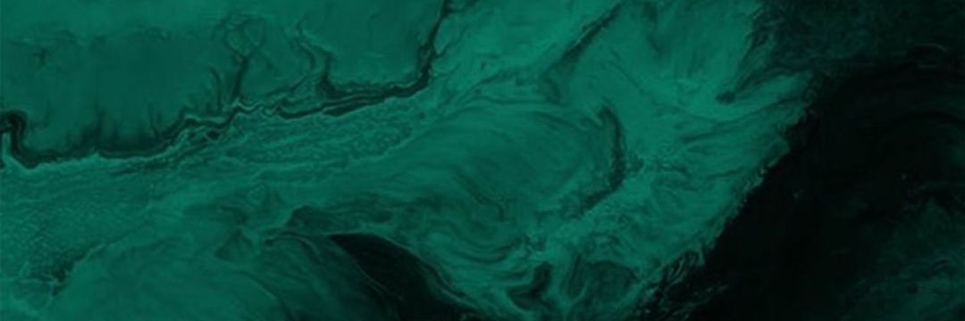 seethesetweets's profile banner image