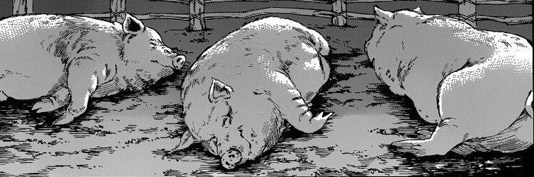 KakiAcha's profile banner image