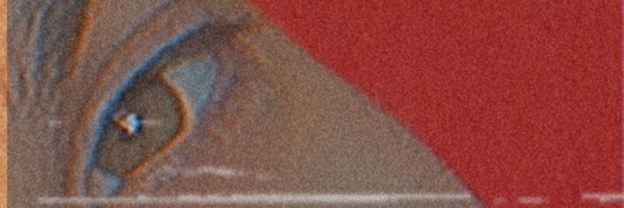 absintheagner's profile banner image