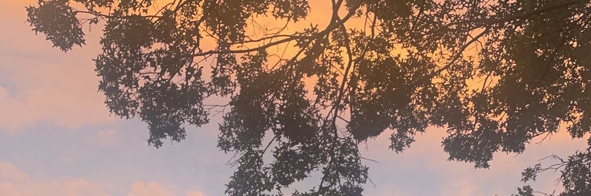 Nora Burns banner