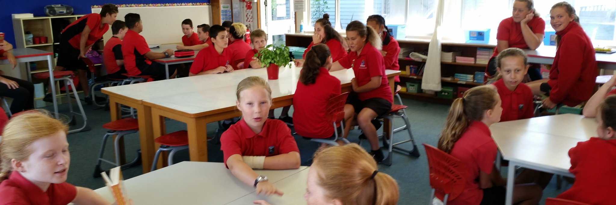 hunua3's profile banner image