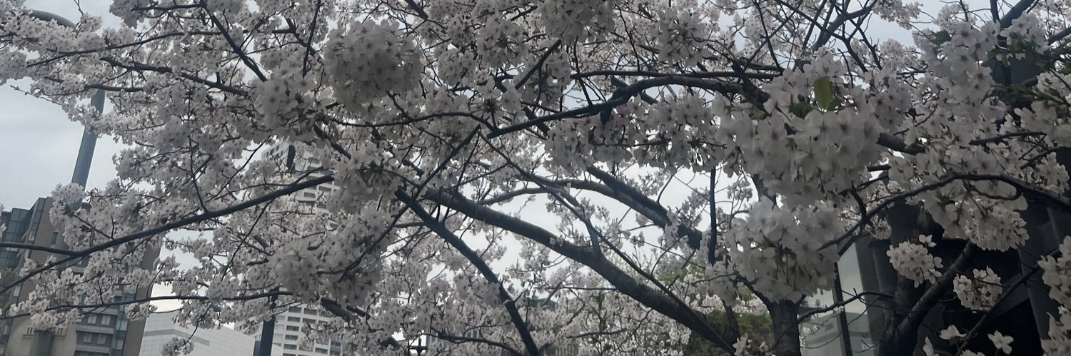 #◆がいあP◇⭐️ banner