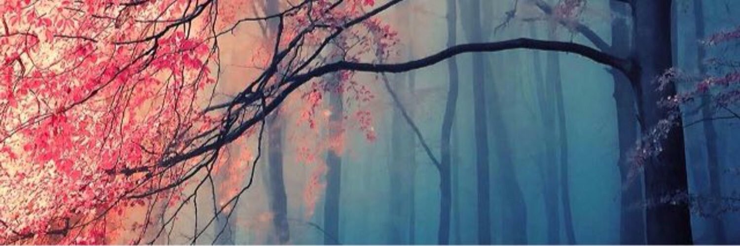 Hazelosheaberry's profile banner image