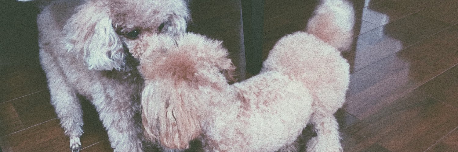 0920_yurippe's profile banner image