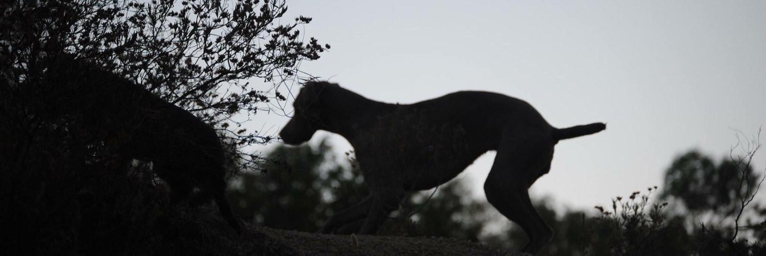 _mariaisabelp's profile banner image