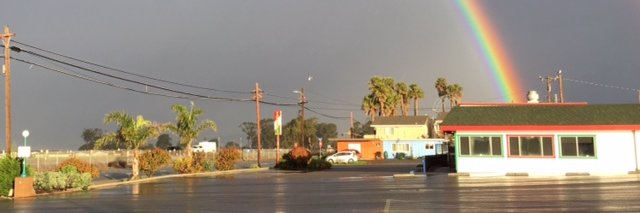 TacoTemple's profile banner image