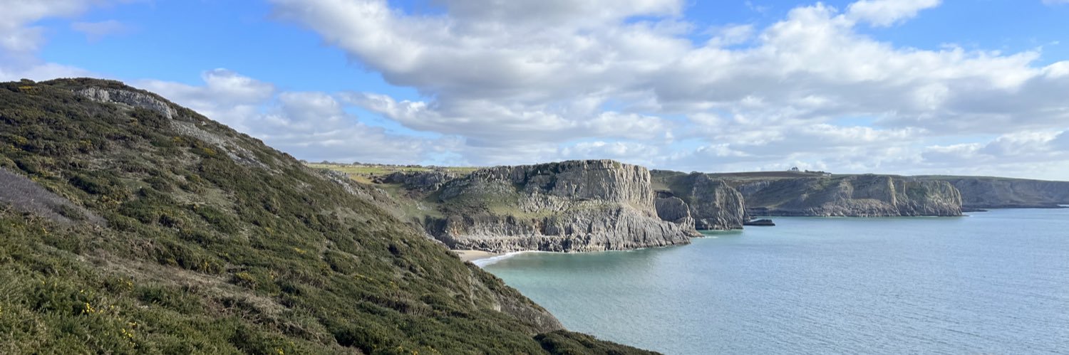 Dr Helen Webberley banner