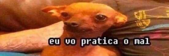 panin da cachorra banner