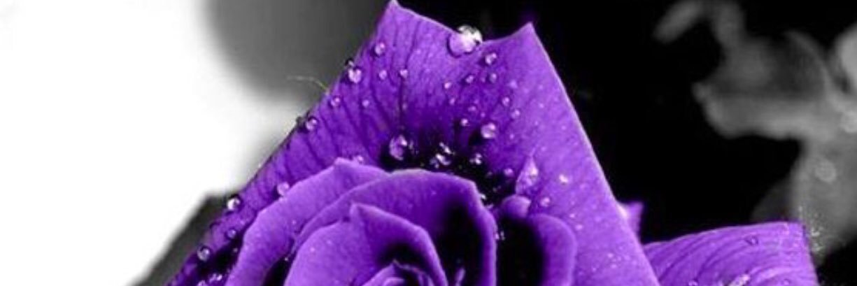 Al_Manal77144's profile banner image