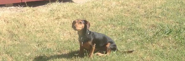 andi_knox Profile Banner