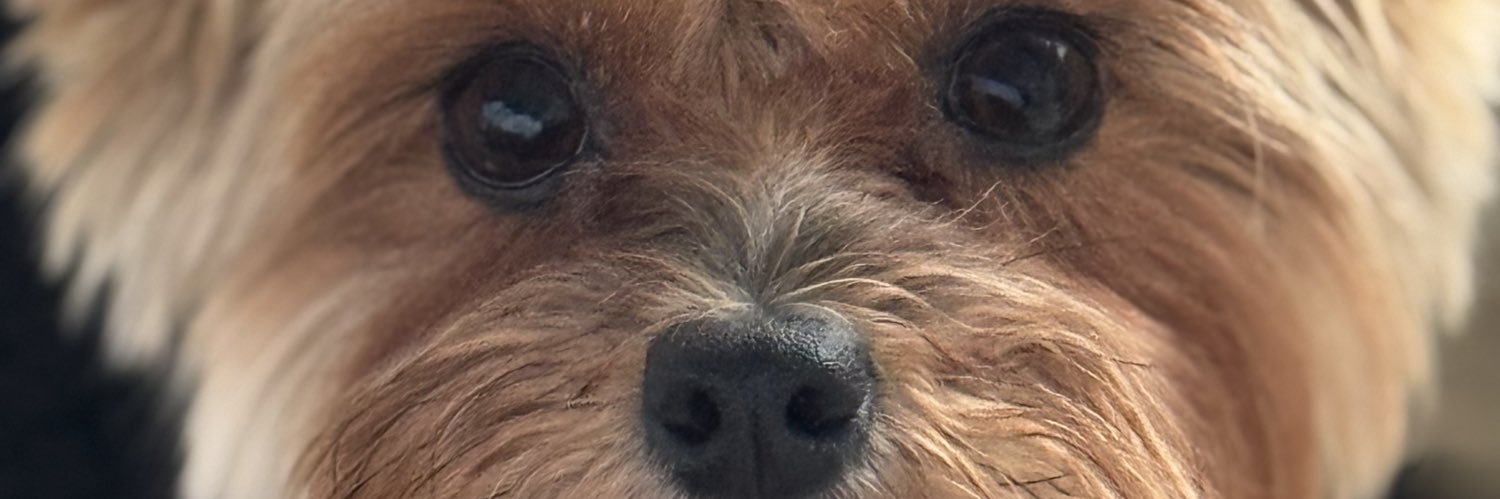 Merce banner