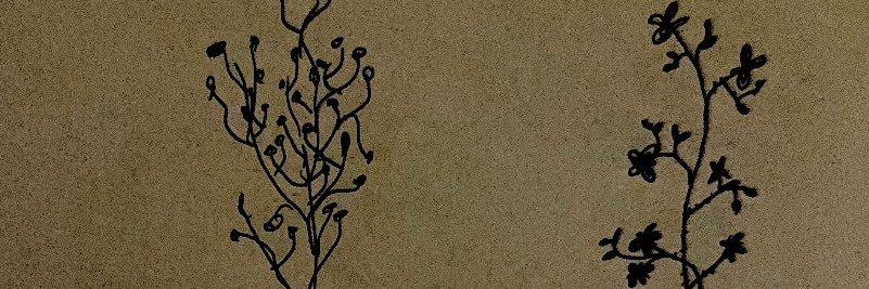 Asha Banks banner