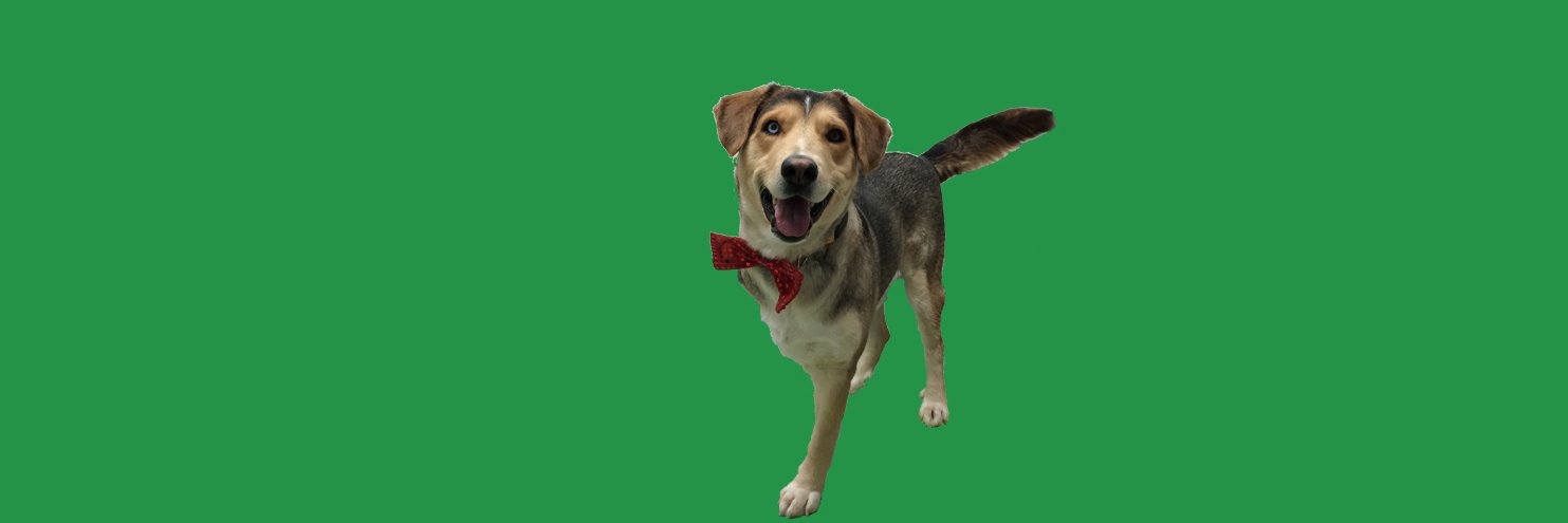DarcysARC's profile banner image