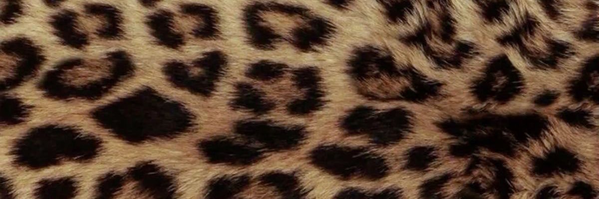 alxnizz's profile banner image