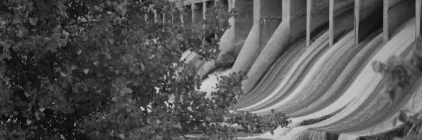 Ivy Pluchinsky banner