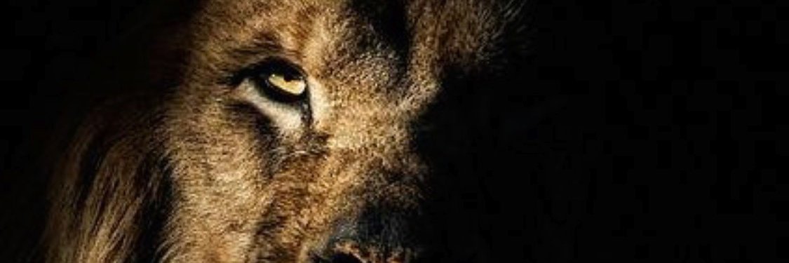 ProfGilbertoT's profile banner image