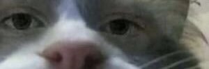 RelaccAttacc's profile banner image