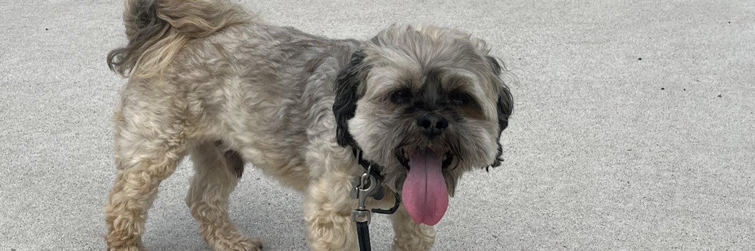 bubbacurtiss's profile banner image