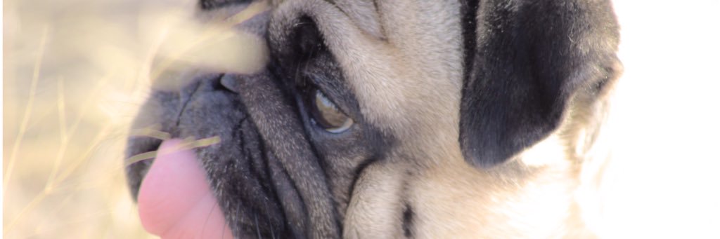 Andresrupo's profile banner image