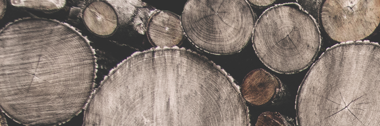 Invest_COMAV's profile banner image
