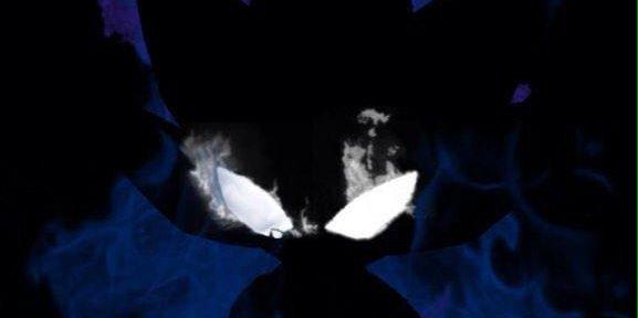 sonicdahedge_'s profile banner image