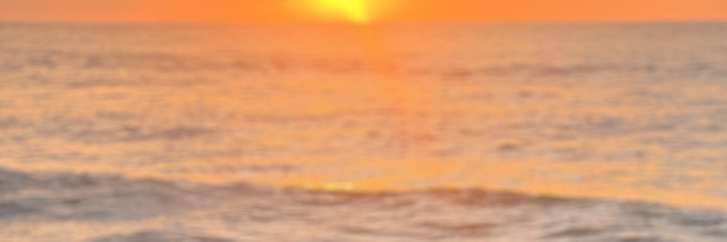 annefrnc's profile banner image
