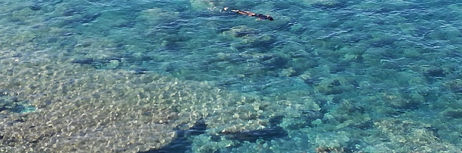 Gian Luca Maio banner