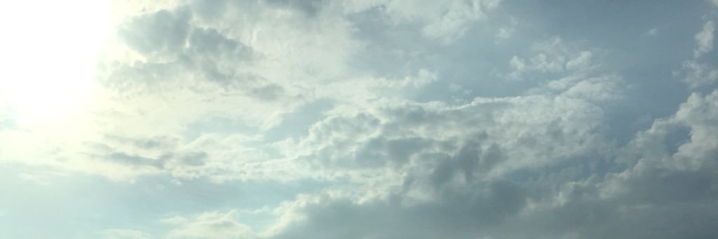 J🐱💪🏻💜 banner