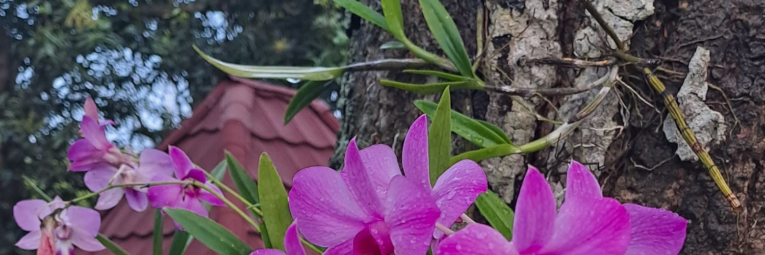 bagusIndraR's profile banner image