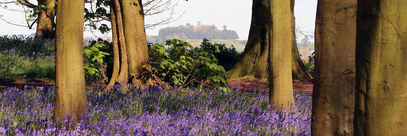 VisitFaringdon banner