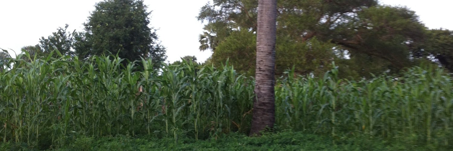 a_makuer's profile banner image