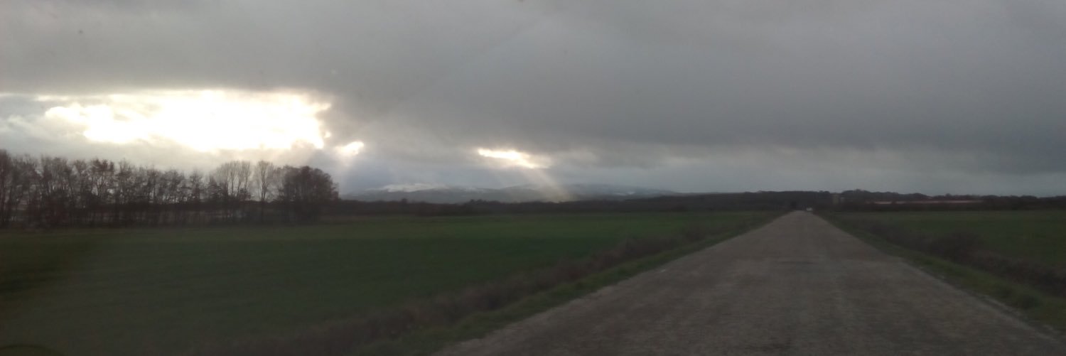 Oscarual's profile banner image