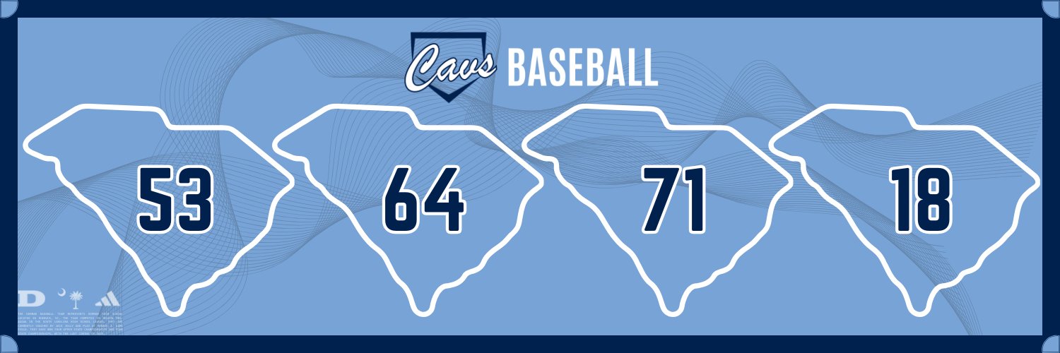 Dorman Baseball banner