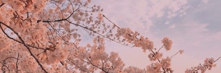 marti98_basso's profile banner image