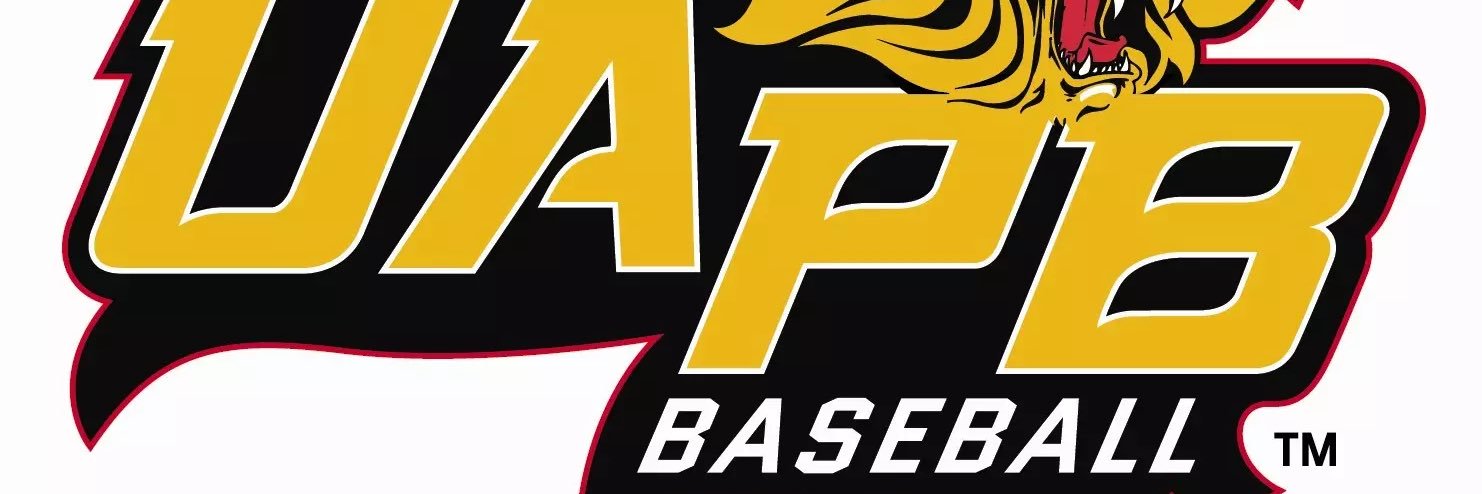 Ryan Gillings banner