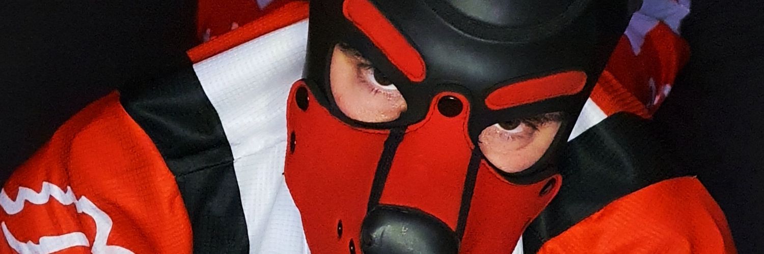 Pup Rocket banner