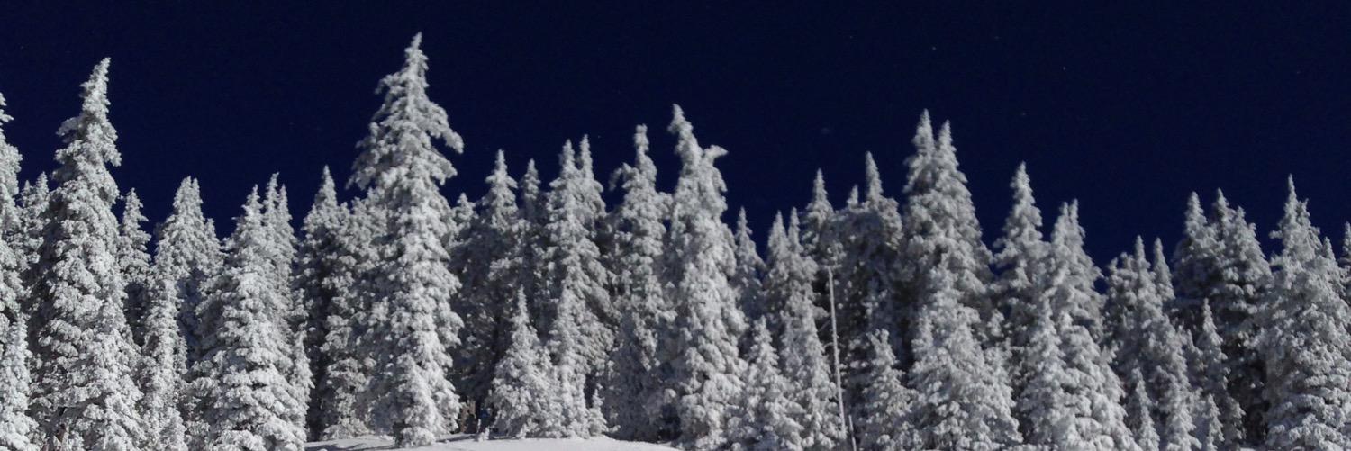 lbinx686's profile banner image