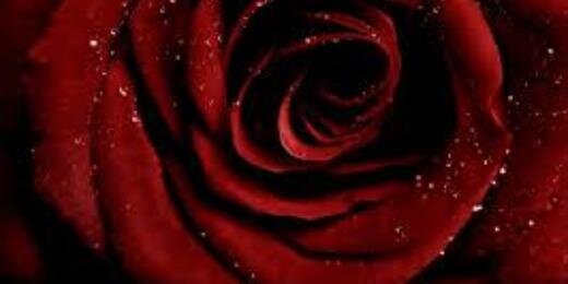 MsDIMEond's profile banner image
