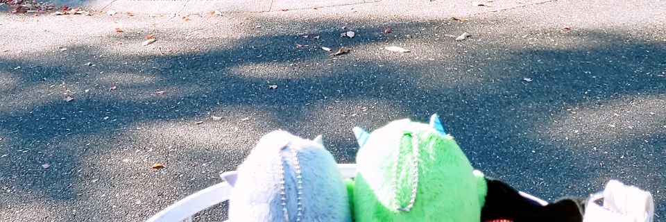 bsenyou's profile banner image