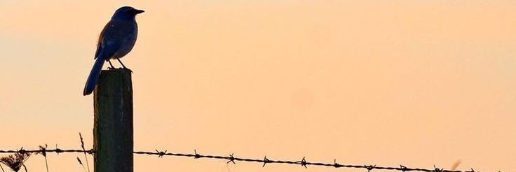 cakircaliefe09's profile banner image