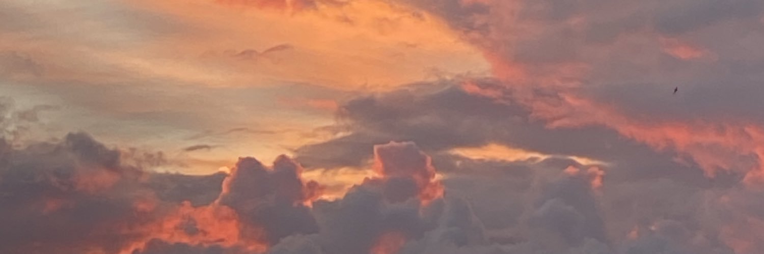 itsmeleaaaaah's profile banner image