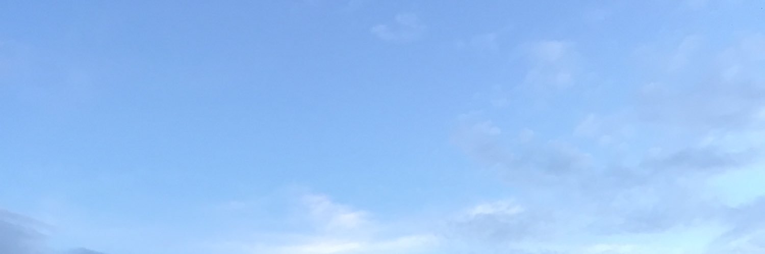 XansevieraSykes's profile banner image